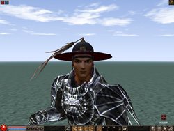 ꡼ No.013 | METIN2ΥåץǡȤǡּٵس