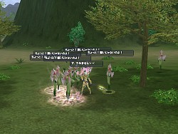 画像集#011のサムネイル/「仙魔道」最新情報も,ガマニアCOO浅井氏に聞く2009年同社の指針,そしてオンラインゲーム業界の行方