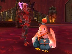 ������#011�Υ���ͥ���/������ƻ�׺ν�/����/��ϣ/������4�����ƥ�����������ӥ����ϻ��˼���