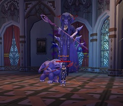 ꡼ No.034 | ˾Υ󥹥¸֥֥饤ȥɥ緿åץǡȡCARD MASTERԥݡ