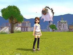 ������#005�Υ���ͥ���/�֥֥饤�ȥ���ɥ��ס���󥹥��������ɤ򽸤��Ȳİ����ڥåȤ�