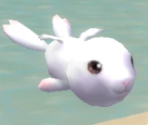 ������#005�Υ���ͥ���/�֥֥饤�ȥ���ɥ��ס�����Υ����ɤ򽸤�ƥڥåȤ�������褦