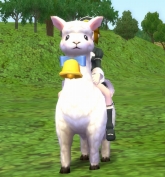 画像ギャラリー No.002のサムネイル画像 / 「ブライトシャドウ」,厳選アイテム満載の“あの”ガチャが復活