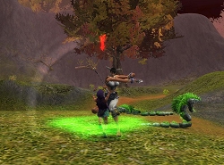 ꡼ No.005 | homageץ²/²Ҳ𤹤ࡼӡȥ꡼󥷥åȤ