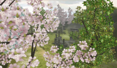 ������#002�Υ���ͥ���/��2��CBT�γ��Ϥ�����MMORPG��homage�ס�����ͽ��ο��ޥåפʤɤΥ����꡼�󥷥�å�21�������