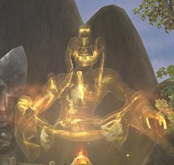 ������#007�Υ���ͥ���/�Ƽ�²�μ����ȶ����浪������homage�׸��ץ����ƥ�ξ�������