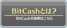 Bitcash�Ȥϡ���Bitcash�������Ϥ������