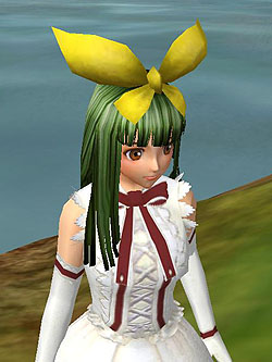 ������#001�Υ���ͥ���/�֥ɥ륢��������׹�ʡ�β����������ѥ�ܥ�ǥ����Ѥʤ꤭�ꡪ