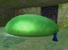 ꡼ No.008 | ֥ɥ륢the Recovery of BABYLIMסץ꡼ȥ˥޲ɤΥԡɤ򶥤󥭥󥰥٥Ȥ