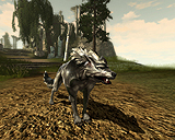 ꡼ No.041 | R2 -Reunion-