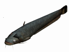画像ギャラリー No.002のサムネイル画像 / 「釣りパラダイス！」で精霊魚実装＆初/中級者向けキャンペーン