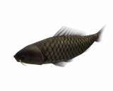 画像ギャラリー No.007のサムネイル画像 / 「釣りパラダイス！」で幻の超巨大魚を釣るトーナメント実施