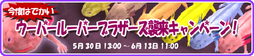 画像ギャラリー No.001のサムネイル画像 / 「釣りパラ」，ウーパールーパー6兄弟！？が期間限定で放流