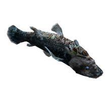 画像ギャラリー No.004のサムネイル画像 / 「釣りパラダイス」期間限定クエスト，幻のシーラカンスを釣り上げよう