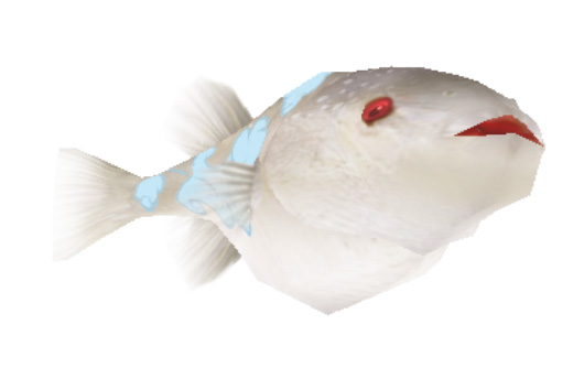 画像集no 003 釣りパラダイス 雪のように白い魚 雪見魚 を狙