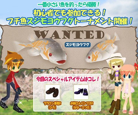 ���������꡼ No.002�Υ���ͥ������ / �����ѥ�ץ����ƥ�ɥ��å�Ψ�ι⤤������襦�ե��������