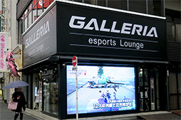 ���������꡼ No.004�Υ���ͥ������ / �ɥ��ѥ餬���ո��˥����ץ󤹤��e���ݡ�������Ź�פ������Ƥ������̤ܶ�Ĺ���ֻ��ͭ���ץ쥤���ꥢ