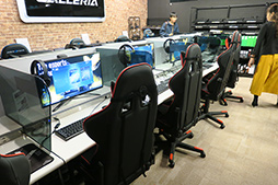 ���������꡼ No.008�Υ���ͥ������ / �ɥ��ѥ餬���ո��˥����ץ󤹤��e���ݡ�������Ź�פ������Ƥ������̤ܶ�Ĺ���ֻ��ͭ���ץ쥤���ꥢ