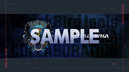 画像ギャラリー No.004のサムネイル画像 / GALLERIA,プロチーム「BlackBird Ignis」コラボモデルのゲームPC発売