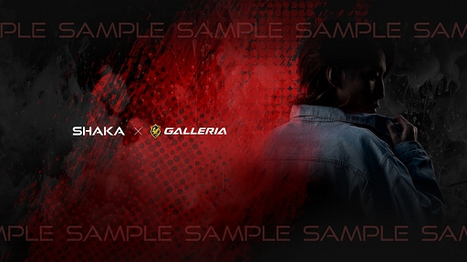 ���������꡼ No.004�Υ���ͥ������ / GALLERIA�ȿ͵����ȥ꡼�ޡ���SHAKA�פΥ���ܥ�����PC���о�