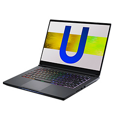 ���������꡼ No.008�Υ���ͥ������ / GALLERIA���͵���ͥ�Υ졼���󥰥������VART�פȤΥ����PC��ȯ��