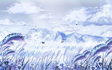 ������#017�Υ���ͥ���/�֥ȥ��ᥭ�ե��󥿥��� ��ơ���פȡ֥���꡼�Υ��ȥꥨ�פΥ���ܥ��٥�Ȥ��������Ϥˡ����åץǡ��Ȥǰ��ס֥�����ǥ����ѡ����פ��о�