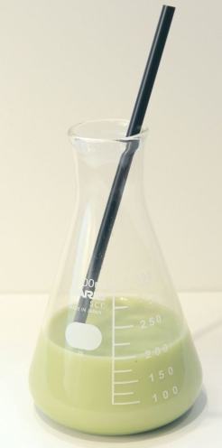 ���������꡼ No.013�Υ���ͥ������ / �֥�ơ���פȥ������ĥѥ�������Υ���ܥ��ե�����˥塼��������