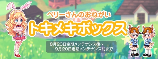 ꡼ No.003 | ֥ȥᥭե󥿥 ơסڥåȡ֥ꥳꥹפо줹֥ץߥܥå 6פ䳫