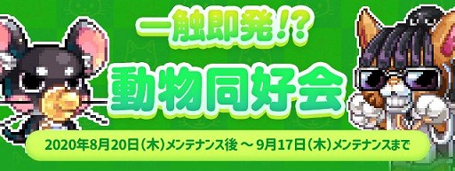 ���������꡼ No.004�Υ���ͥ������ / �֥ȥ��ᥭ�ե��󥿥��� ��ơ���ס���Ʈ����˥塼���뤹�륢�åץǡ��Ȥ�����