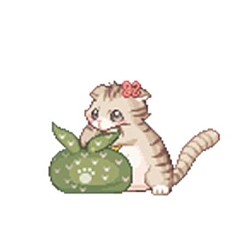 ꡼ No.015 | ֥ȥᥭե󥿥 ơסĶ緿åץǡȡReNEW!ɤˡʥꥪȥοɤо