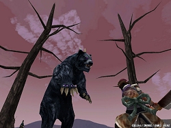 画像集#028のサムネイル/ゲームズアリーナ新作タイトル,オンラインRPG「Blade Chronicle:Samurai Online」を発表