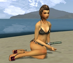 画像ギャラリー No.004のサムネイル画像 / 水着の販売も開始。「Blade Chronicle」,新キー操作やブラックリスト機能を追加するアップデート