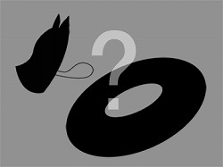 ꡼ No.001 | Blade ChronicleSamurai Onlineפǳ٥ȼ»