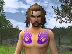 ���������꡼ No.002�Υ���ͥ������ / ����ۡ������ॺ����Blade Chronicle�פΥ����ӥ���������������