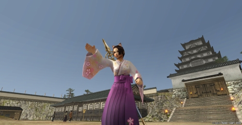 ꡼ No.009Υͥ / 1ǯޤBlade Chronicle5ͰȤǶݼɼ