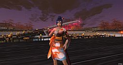 ꡼ No.010Υͥ / Blade Chronicleס򶯲Ǥ뿷ƥġפ