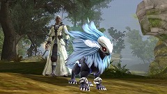 ������#001�Υ���ͥ���/����MMORPG��Aion�ס��ץ쥤�䡼���Ȥ�Ҳ𤹤�ࡼ�ӡ�