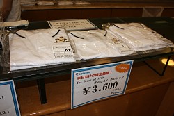 ���������꡼ No.053�Υ���ͥ������ / ��The Tower of AION�׽�θ������ե饤�󥤥٥�ȳ��š����������ӥ��ʹߤ��󶡤�������Ƥ䡤PvP���٥�Ȥʤ������������