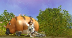 画像ギャラリー No.002のサムネイル画像 / 「AION」期間限定「キモカワキャップ」，playncショップにて発売開始