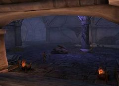 ꡼ No.003 | ΥǤ餫ˡAION 2.0ɲä륤󥹥󥹥󥸥