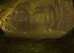 ꡼ No.005 | ΥǤ餫ˡAION 2.0ɲä륤󥹥󥹥󥸥