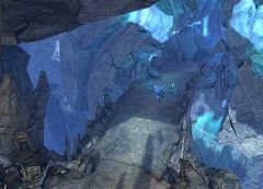 ꡼ No.017 | ΥǤ餫ˡAION 2.0ɲä륤󥹥󥹥󥸥