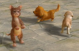 ꡼ No.006 | ζɤPvPvEϿʶ̤ءThe Tower of AIONפ緿åץǡȡȥԥ2.0 ɤθɤҲ