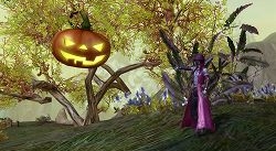 ���������꡼ No.003�Υ���ͥ������ / ��AION�ס����ܥ���Ρȥ�������ɤȥߥ˥������ͷ�ܤ�