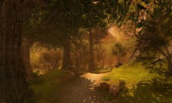 ���������꡼ No.003�Υ���ͥ������ / �ڹ�NCsoft����AION�ץƥ��ȥ����С���2.5���åץǡ��Ȥ���������ܤǤ���������Ǥ������ǿ����åץǡ��Ⱦ���򤵤ä�����ǧ���褦