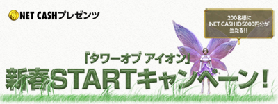 ���������꡼ No.001�Υ���ͥ������ / ��AION�׿����Ը�����5000��ʬ��NET CASH�������륭���ڡ���