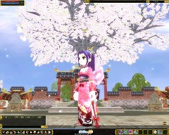 画像集#001のサムネイル/春といえばやっぱり桜! 「熱血江湖」で「さくらまつり2008」開催