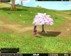 画像集#002のサムネイル/春といえばやっぱり桜! 「熱血江湖」で「さくらまつり2008」開催