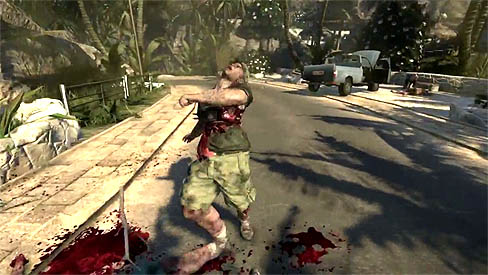 ꡼ No.004Υͥ / ۤɷ餱ΥӥࡣDead IslandפΥץ쥤ͤʬ롤12ʬˤ⤪֥ࡼӡ