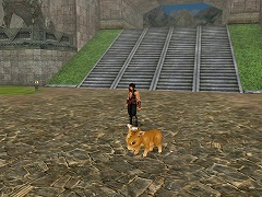 ������#001�Υ���ͥ���/��ŷƻ����饤��ס��ݤ�����ʪ�κ���ۤ������áָ޿��������о�